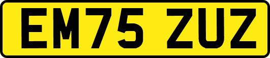 EM75ZUZ
