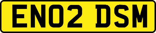 EN02DSM