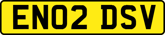 EN02DSV