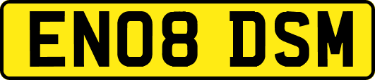 EN08DSM