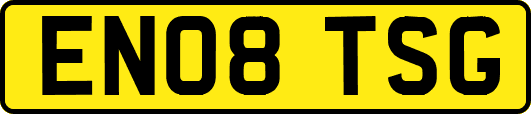 EN08TSG