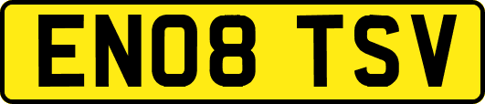 EN08TSV