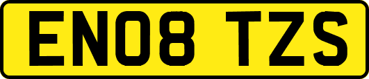 EN08TZS