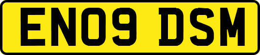 EN09DSM