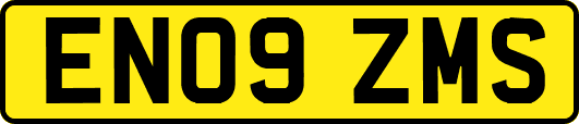 EN09ZMS