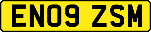 EN09ZSM