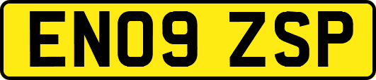 EN09ZSP