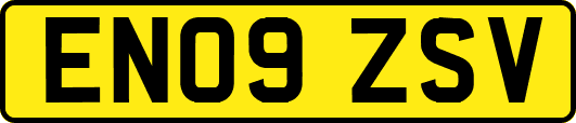 EN09ZSV