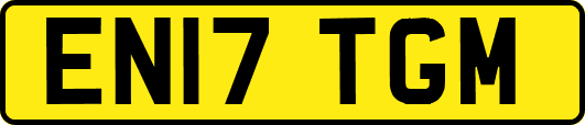EN17TGM