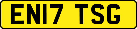 EN17TSG