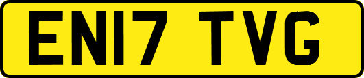 EN17TVG