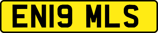 EN19MLS