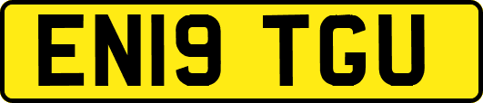 EN19TGU