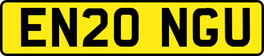 EN20NGU