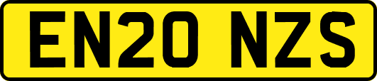 EN20NZS