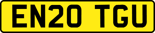 EN20TGU