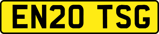 EN20TSG