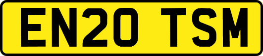 EN20TSM