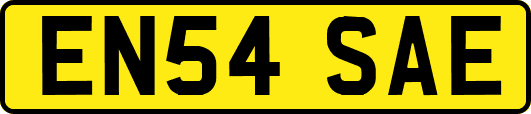 EN54SAE