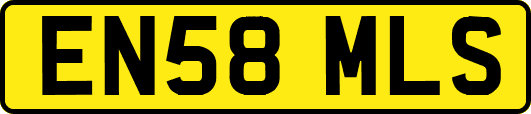 EN58MLS