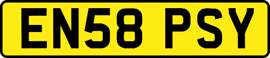 EN58PSY
