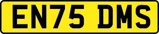 EN75DMS