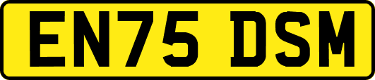EN75DSM
