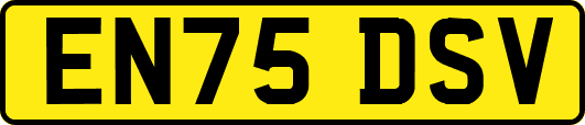EN75DSV
