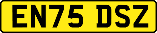 EN75DSZ