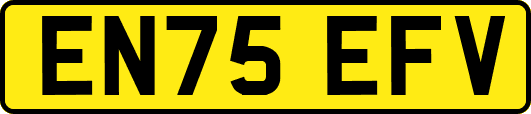 EN75EFV
