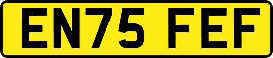 EN75FEF