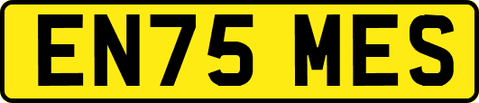 EN75MES