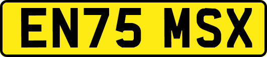 EN75MSX