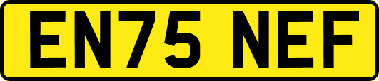 EN75NEF