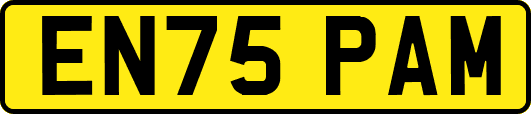 EN75PAM