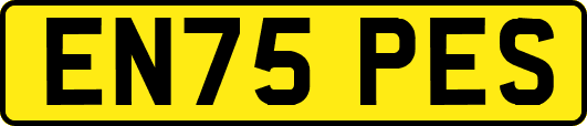 EN75PES