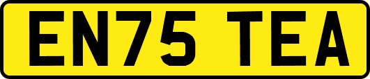 EN75TEA