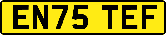 EN75TEF