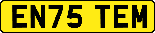 EN75TEM