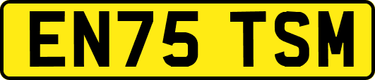 EN75TSM