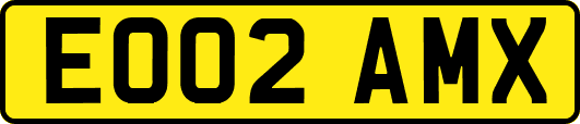 EO02AMX