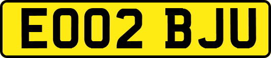 EO02BJU