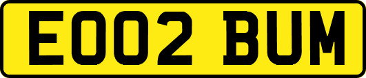 EO02BUM