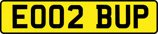 EO02BUP