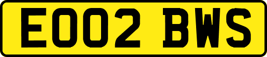 EO02BWS