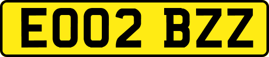 EO02BZZ