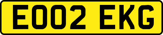 EO02EKG