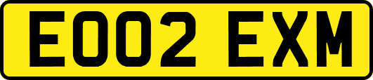 EO02EXM
