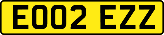 EO02EZZ