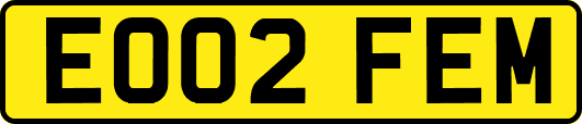 EO02FEM